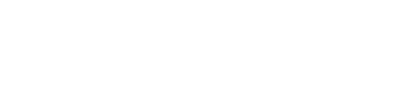 svbriiin